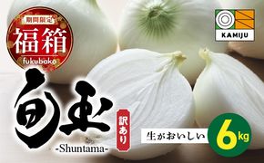 【福箱★2027】 訳あり 新玉ねぎ 旬玉 6kg 生がおいしい神重農産のブランド玉ねぎ H105-274