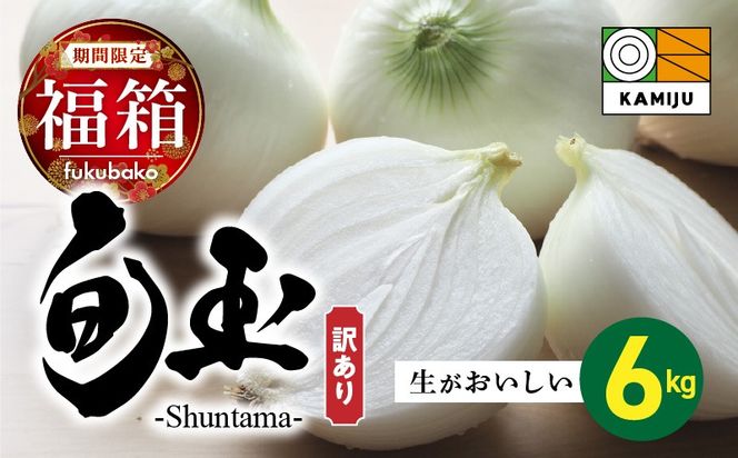 【福箱★2027】 訳あり 新玉ねぎ 旬玉 6kg 生がおいしい神重農産のブランド玉ねぎ H105-274