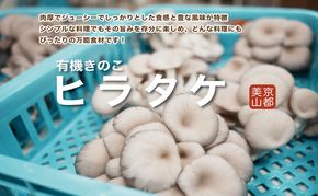 京都府産オーガニック　ヒラタケ（6パック入り約840g）