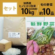 米 野菜 セット 加西産 ヒノヒカリ 白米 10kg(5kg×2：玄米換算) 季節の野菜 10品程度 詰合せ 旬の野菜 やさい お米 精米 ご飯 白飯 単一原料j米