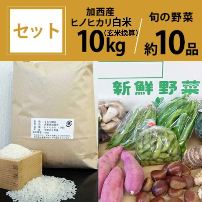 米 野菜 セット 加西産 ヒノヒカリ 白米 10kg(5kg×2：玄米換算) 季節の野菜 10品程度 詰合せ 旬の野菜 やさい お米 精米 ご飯 白飯 単一原料j米