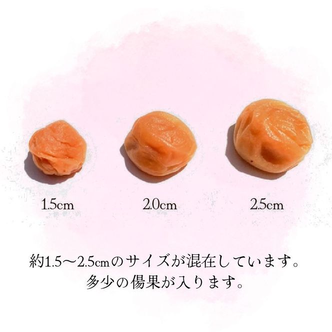 無添加 白干「小梅」450g【梅農家厳選　手づくり梅干】 304018_J022