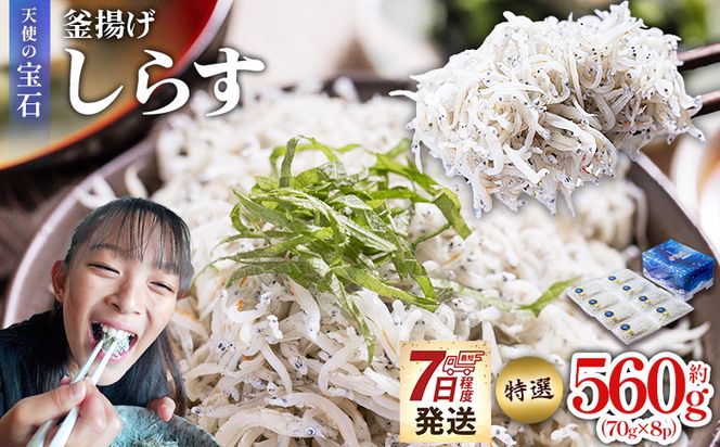 しらす 【天使の宝石】特選 釜揚げしらす 約560g 70g×8パック 特選 小分け 国産 ちりめんじゃこ 離乳食 しらす シラス 稚魚 魚介 魚 海産物 釜茹で ドロメ しらす丼 料理 ご飯のお供 カワクボFACTORY 高知県 香南市 fa-0002