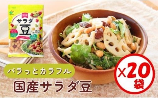 「パラっとカラフル 国産サラダ豆 120g」×20袋 ※離島への配送不可