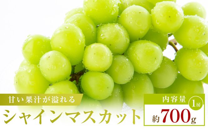 【食べきりサイズ】シャインマスカット　約700g 372013_T006-811J