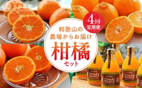 ZS69007_柑橘定期便【4回定期便】樹