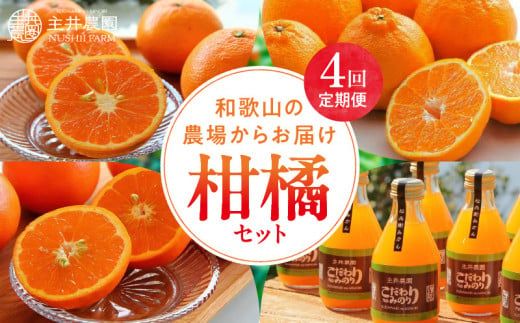 ZS69007_柑橘定期便【4回定期便】樹