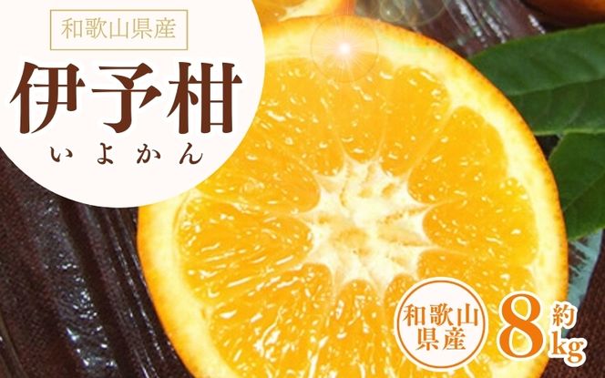 伊予柑(いよかん) 約8kg / サイズおまかせ　※2027年1月中旬～2027年2月中旬頃に順次発送予定(お届け日指定不可)　紀伊国屋文左衛門本舗　【sgtb440B】
