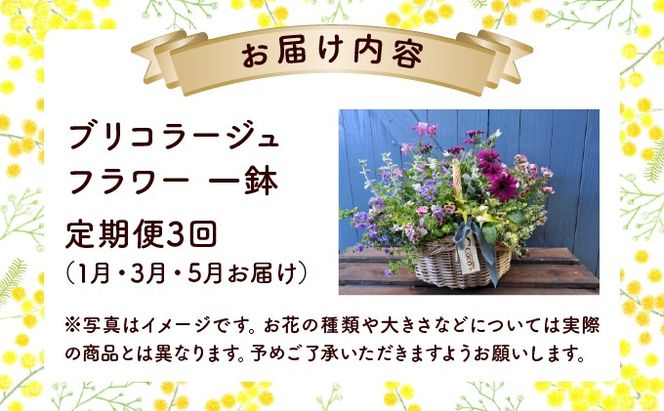 【全3回定期便】季節の寄せ植え ブリコラージュフラワー