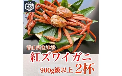 魚卸問屋のベニズワイガニ 900g級以上×2杯 はりたや ※	2024年12月上旬～2025年5月下旬頃に順次発送予定 ※北海道・沖縄・離島への配送不可