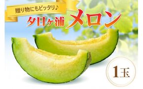 【先行予約／数量限定100】夕日ヶ浦メロン1玉（2026年7月中旬～発送） JK00029