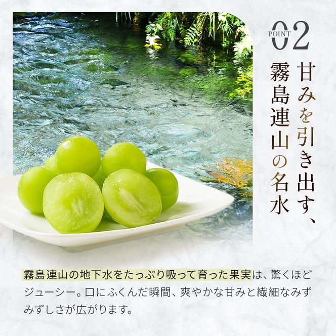 【2026年発送】シャインマスカット 2kg（3～4房）（ぶどう シャインマスカット 葡萄 マスカット 種なし 皮ごと 大粒 厳選)