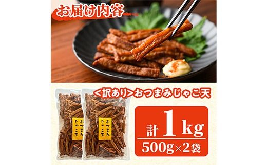 ＜訳あり＞おつまみじゃこ天(計1kg・500g×2袋) すりみ さつまあげ じゃこ おつまみ おかず 弁当 惣菜 おでん 鍋 魚 魚介 国産 【KI-17】【イチマル食品加工】