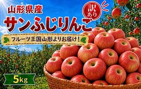 FYN6-432 《2026年先行予約》ご家庭用 山形県産 サンふじりんご 5kg 2026年11月下旬から順次発送 林檎 リンゴ 秋果実 冬果実 果物 くだもの フルーツ 訳あり 農業者 農家 支援 自宅 家庭 産地直送 山形県 西川町 月山