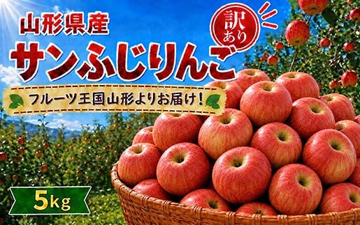 FYN6-432 《2026年先行予約》ご家庭用 山形県産 サンふじりんご 5kg 2026年11月下旬から順次発送 林檎 リンゴ 秋果実 冬果実 果物 くだもの フルーツ 訳あり 農業者 農家 支援 自宅 家庭 産地直送 山形県 西川町 月山