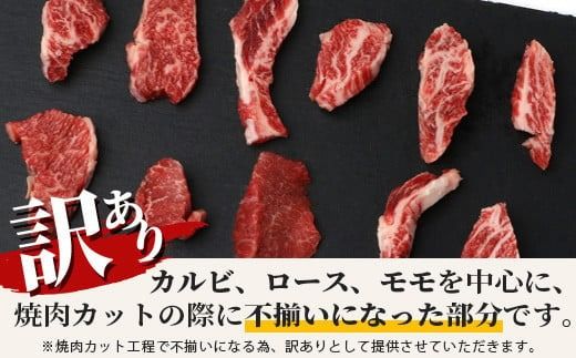 【訳あり】 石垣牛 焼肉用　(不揃い)　500g 【訳アリ 沖縄県 石垣島 石垣牛 国産 黒毛和牛 牛肉 牛 和牛 焼肉 BBQ 】AB-26