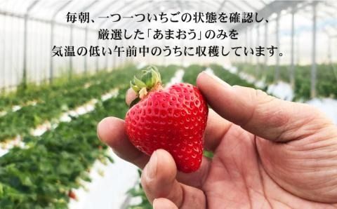 【その日一番のあまおうを即日出荷！】 本格 あまおう ( 285g × 2パック) いちご 苺 糸島市 / みのりのりん[ABD002]