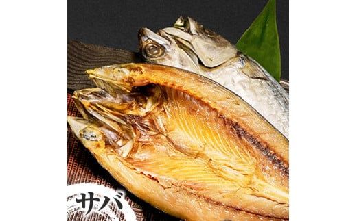 【CF-R7hbk】干物セット アジ・サバ・カマス 各2枚 計6枚 ひもの あじ さば かます セット 詰め合わせ 鯵 鯖 魚 魚介類 水産加工品 天日干し おかず 惣菜 お取り寄せ 美味しい 国産