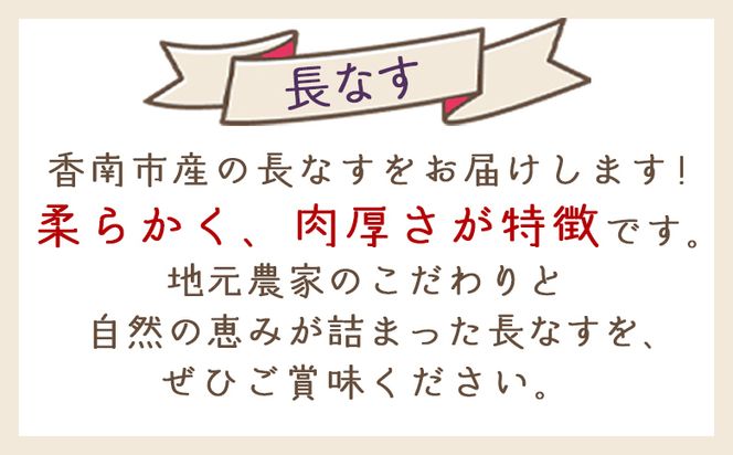 【2025年10月中旬以降発送】長なす １ｋｇ 家庭用 yr-0070