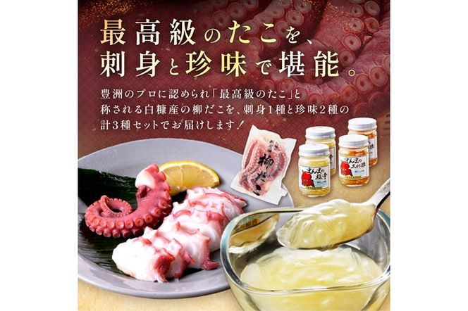 しらぬか産柳だこ(600g)と珍味(まんまの三杯酢・まんまの塩辛)の計3種セット