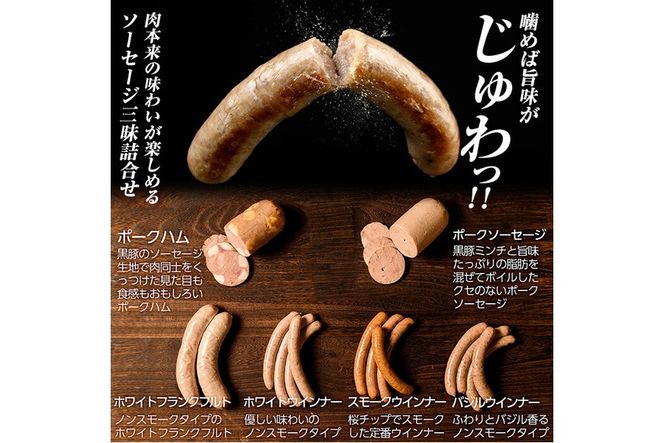 a042 鹿児島黒豚「短鼻豚」無添加ハムソーセージ三昧詰め合わせ総合計1kg【鹿児島ますや】姶良市 国産 ウィンナー 無添加 ウインナー ソーセージ フランクフルト ハム 冷凍 黒豚 豚肉 おかず