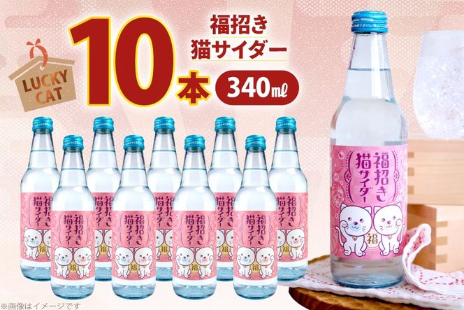 サイダー 福招き猫サイダー 340ml × 10本 [翔栄通商 静岡県 吉田町 22424716] 炭酸 炭酸飲料 瓶 ソーダ 招き猫 サイダー 木村飲料