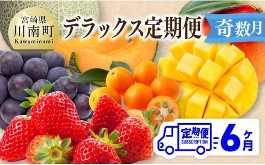 果物【 全6回定期便 】 デラックス 定期便 【奇数月】 【 川南町産 きんかん いちご 完熟 マンゴー ぶどう ピオーネ 赤肉 メロン 】ⅡⅨ [C11719t6]