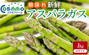 朝採り新鮮アスパラガス 1kg【2Lサイズ】 | 野菜 アスパラガス グリーンアスパラ 旬 とれたて 春野菜 春 朝採り 朝採れ とれたて 新鮮 みずみずしい サラダ 甘い お取り寄せ 産地直送 冷蔵 岐阜県 瑞穂市