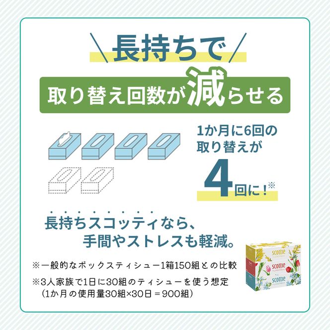定期便 ティッシュ スコッティ フラワーボックス 3箱 × 12 パック《 6ヶ月ごと計 2回 》ティッシュセット