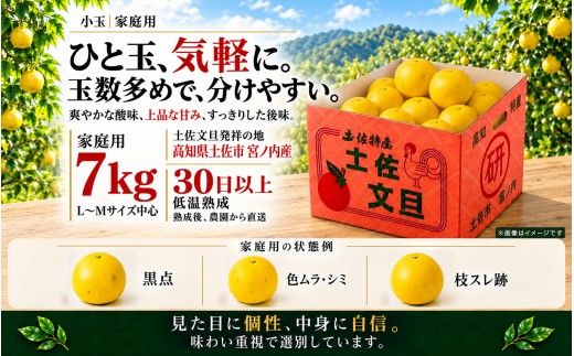 土佐文旦 小玉 7kg 家庭用 日本ギフト大賞受賞 文旦発祥の地 園主こだわり 食べ切りサイズ L～M 高知県土佐市産 高知県産 国産 7キロ ぶんたん ブンタン みかん 柑橘類 高級フルーツ 果物 産地直送 お取り寄せ ギフト 数量限定 季節限定 先行予約 やの一果彩[BQAC043]