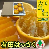 手詰め 有田 はっさく 大玉 2L サイズ × 4玉入 ちょっと 傷あり 小箱 南泰園 みかん BS712