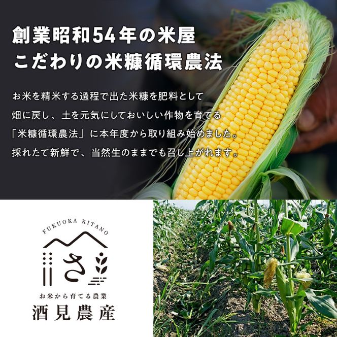 【来年度受付予約：2026年5月より発送】ベビーコーン 農家直送！SDGs米糠堆肥で作った環境に優しい ベビーコーン 50本 /酒見農産/ べびーこーん ※配送不可：離島