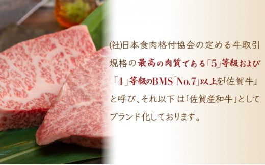 120g×5個【佐賀牛】ハンバーグ B-1011