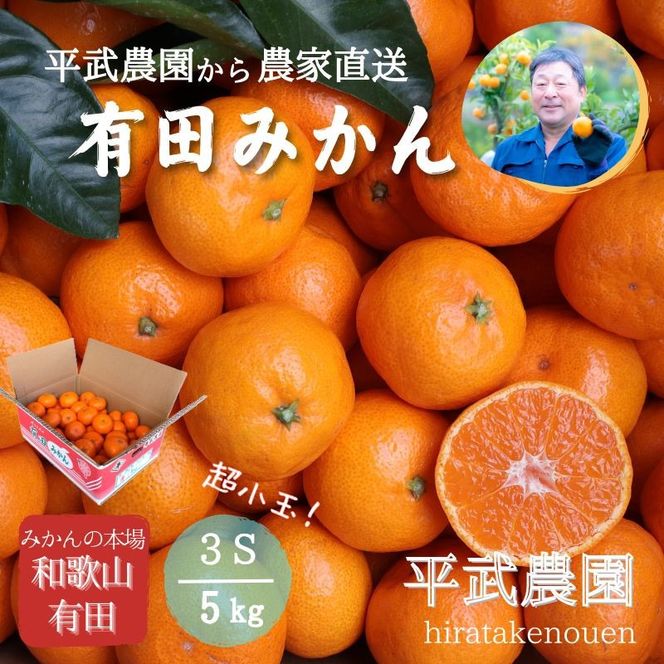 農家直送！有田みかん（5kg 3Sサイズ（超小玉）秀品）平武農園　～蛍飛ぶ町から旬の便り～  BX38