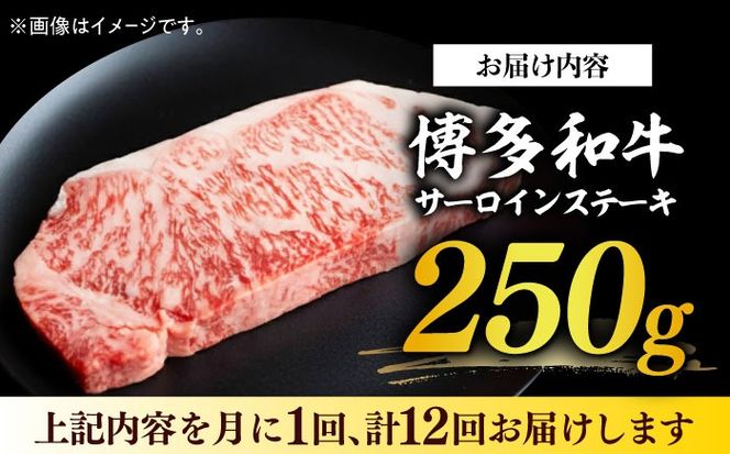 【全12回定期便】【厳選部位使用！】博多和牛サーロインステーキ250g×1枚《築上町》【株式会社MEAT PLUS】[ABBP047]