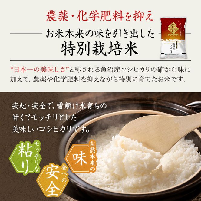 【令和7年産米】特別栽培米 魚沼産こしひかり(十日町地域) 精米 5kg 7月配送 お米 精米 こめ ご飯 白米 特別栽培  旧：五郎兵衛