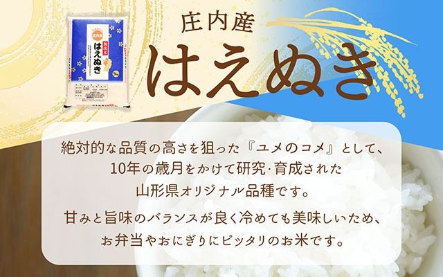 庄内町産 はえぬき無洗米 6kg 2kg×3袋 令和7年産 2025年産 ブランド米 コシヒカリの原点、亀の尾発祥の地 庄内