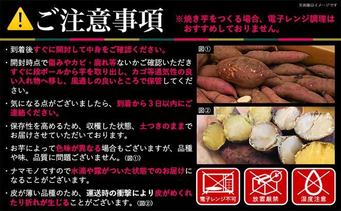 先行受付!【11月お届け】島津甘藷　熟成紅はるか 10kg(S～2S)_12-A7-001-10kg-m-11