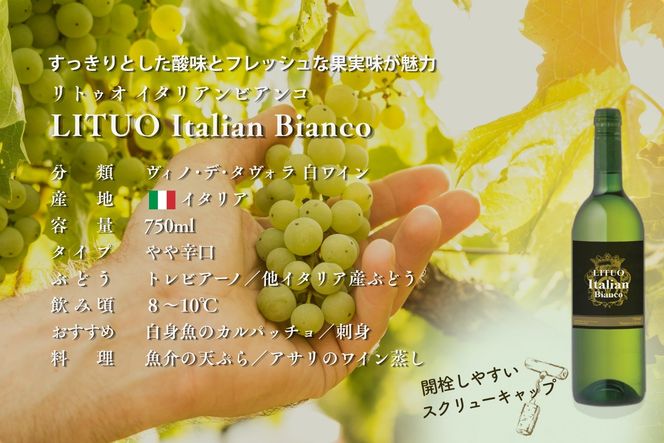 【A-873】W101 LITUOイタリアンロッソ&ビアンコ