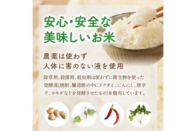 【E2-006】【令和6年産】農薬・化学肥料不使用 真ちゃん米 15kg