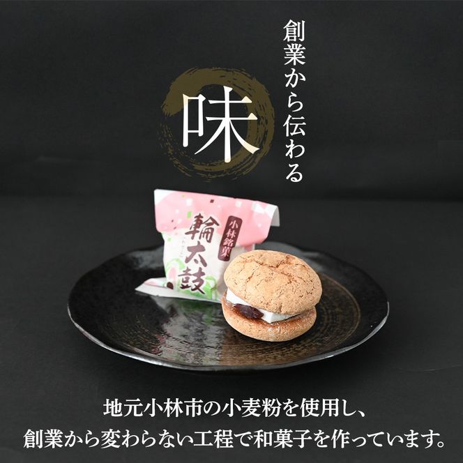 【地元銘菓】輪太鼓（わでこ）10個入（菓子 スイーツ 和菓子 ブッセ 餅 あんこ 銘菓 宮崎県）