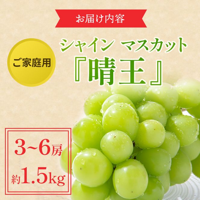 ぶどう 2026年 先行予約 ご家庭用 シャイン マスカット 晴王 3～6房 約1.5kg ブドウ 葡萄  岡山県産 国産 フルーツ 果物 太陽 美しい 外観 大粒 高糖度 種なし 皮ごと 弾力 食感 美味しい 