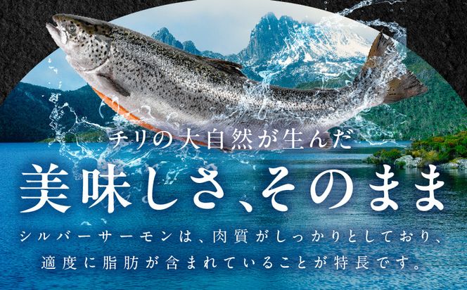 kgp0010 【訳あり】生食用 シルバーサーモン 1kg ポーション【小分け 2-4柵 サイズ不揃い 銀鮭 刺身用 お刺身 魚介 海鮮】