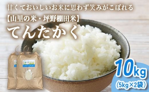 山の湧き水 寒暖差 山里 山里の米･坪野米 R7年産 てんたかく 10kg（5kg×2）｜ 新米 こめ コメ お米 おこめ 白米 精米 お弁当 おにぎり 香り うまみ あまみ 富山 魚津　※北海道・沖縄・離島への配送不可