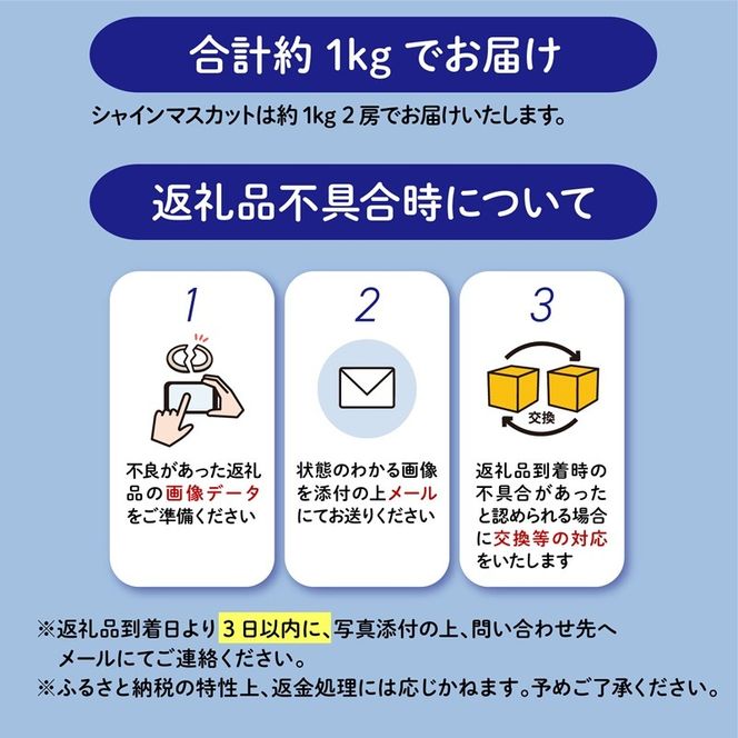【2026年8月以降発送 先行予約】 シャインマスカット 2房 約1kg 産地直送 数量限定 マスカット フルーツ 果物 国産 静岡県 藤枝市