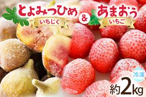 フルーツ 冷凍 あまおう ＆ 冷凍 よみつひめ セット 計約2kg [地域商社ふるさぽ 福岡県 宇美町 um40bfw220006] いちご いちじく 果物 イチゴ 苺 イチジク 無花果 くだもの ジャム シャーベット スムージー 詰め合わせ