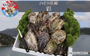 のぞみ 牡蠣  2026年先行予約 ［彩]  殻付き （ 三年牡蠣 ）約45個 ナイフ 、 簡単レシピ 付き 魚貝類 海の幸 海のミルク 海鮮 貝 濃厚 産地直送 取れたて 新鮮 食材 殻付き牡蠣 