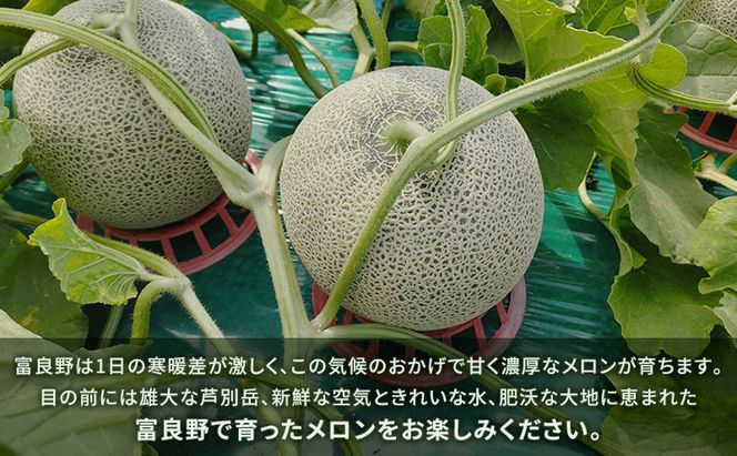 富良野産 キングメロン 大玉 2玉 秀品 計4kg 赤肉 メロン 富良野メロン 果物 フルーツ 甘い ジューシー 新鮮 ブランドメロン 贈り物 ギフト おやつ 夏 北海道 富良野市