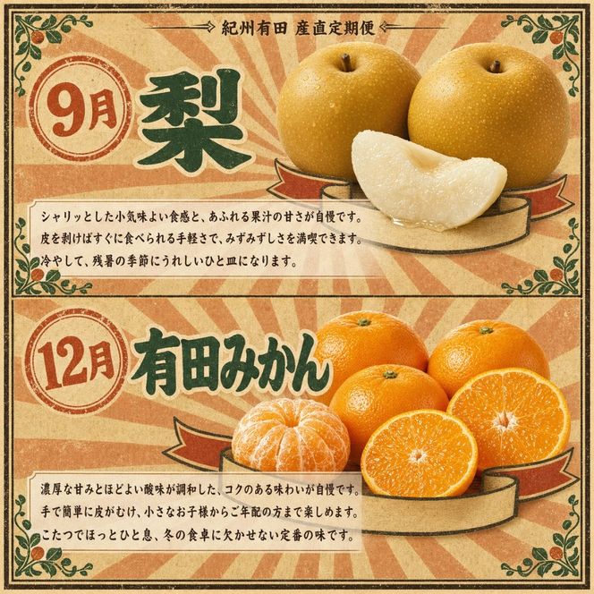 【2・8・9・12月 全4回】紀州産 シャインマスカットとフルーツの定期便（シャインマスカット・梨・みかん・不知火） 【魚鶴】AN044