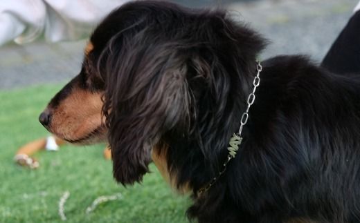 【 唯一無二のペットジュエリー 】 Soothing chain 受注生産 名入れ シルバー アクセサリー オリジナル ハンドメイド ファッション 装飾品 ペット 動物 お洒落 オシャレ シルバーアクセサリー ネックレス ペット用